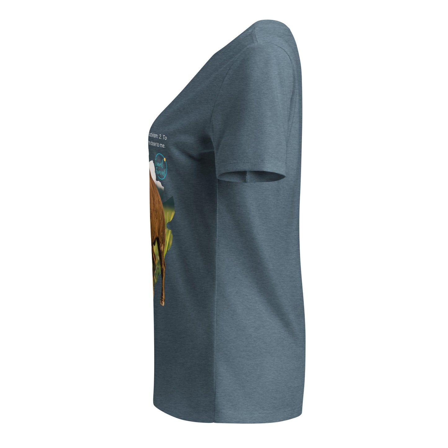 Park Snark Bison Warning on a Women’s Relaxed V - neck T-shirt - Travel Fam Park Guides