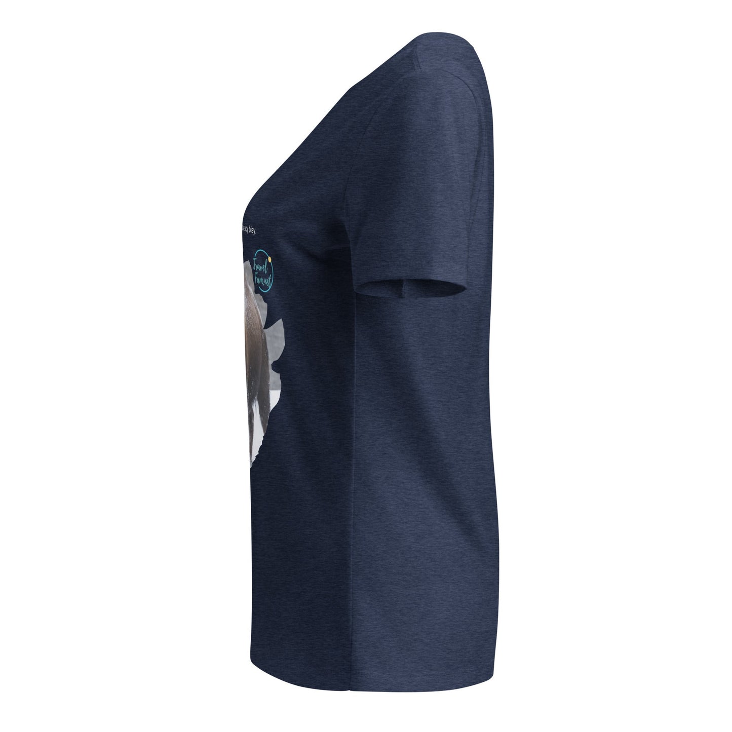 Park Snark™ "Icy Bisy" on a Women’s Relaxed V - neck T-shirt - Travel Fam Park Guides