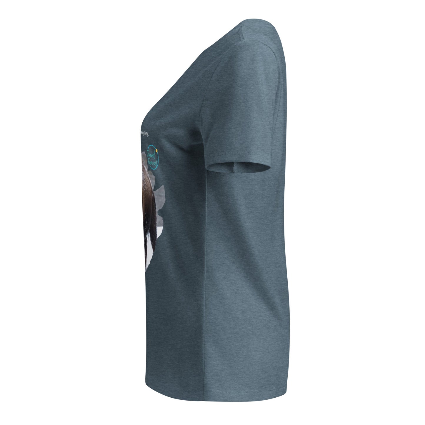 Park Snark™ "Icy Bisy" on a Women’s Relaxed V - neck T-shirt - Travel Fam Park Guides