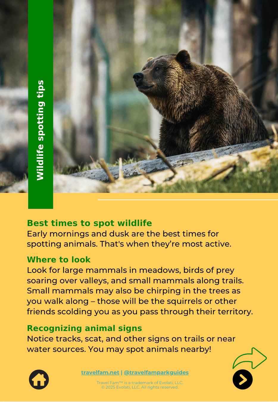 Wildlife Spotting Discovery Guide - Travel Fam Park Guides