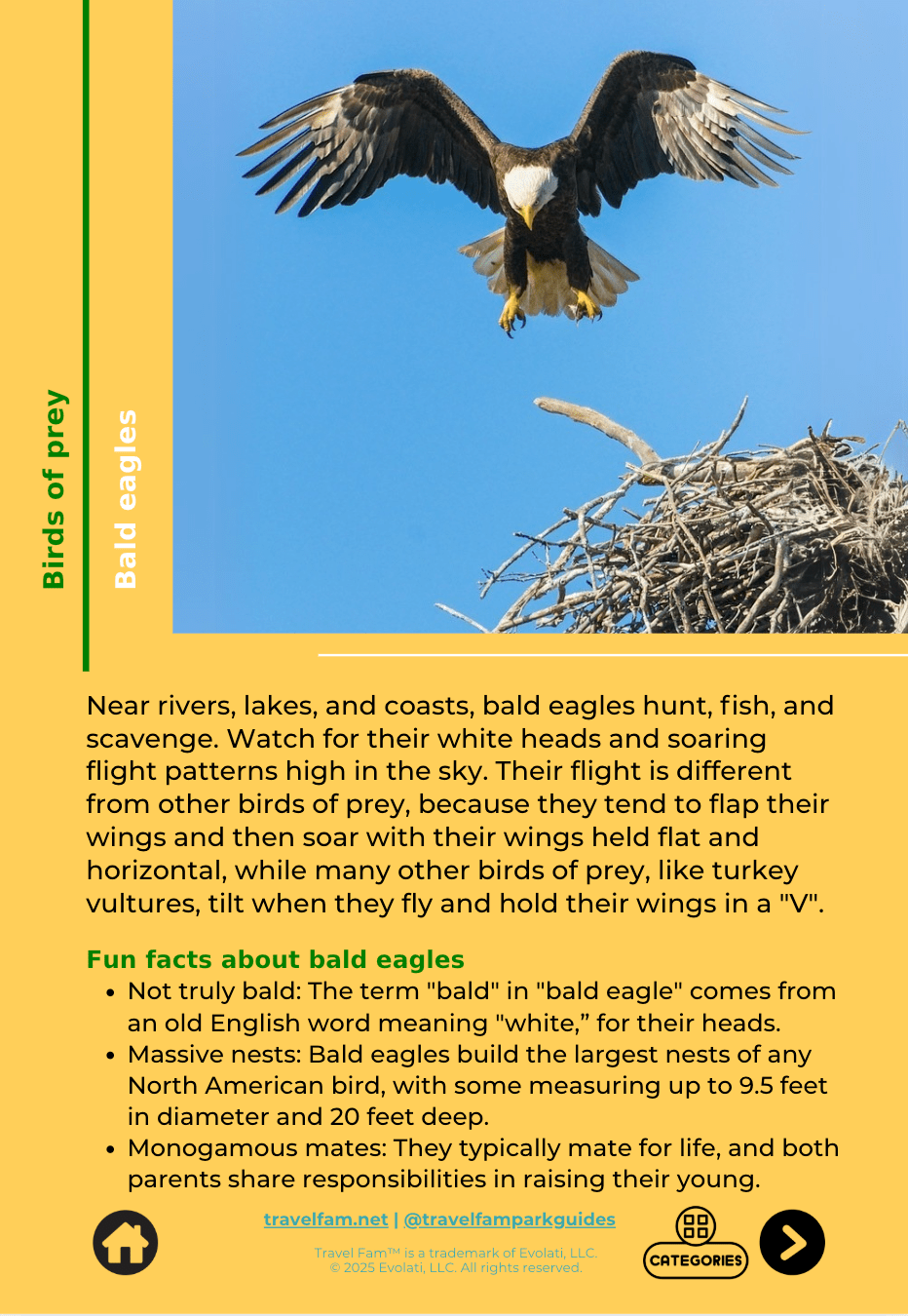 Wildlife Spotting Discovery Guide - Travel Fam Park Guides