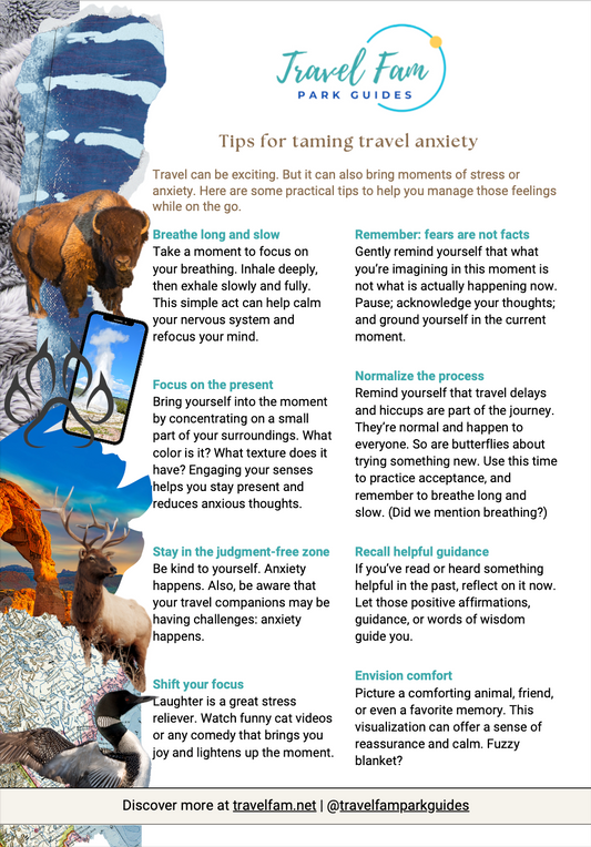 "Taming Travel Anxiety" Tip Sheet