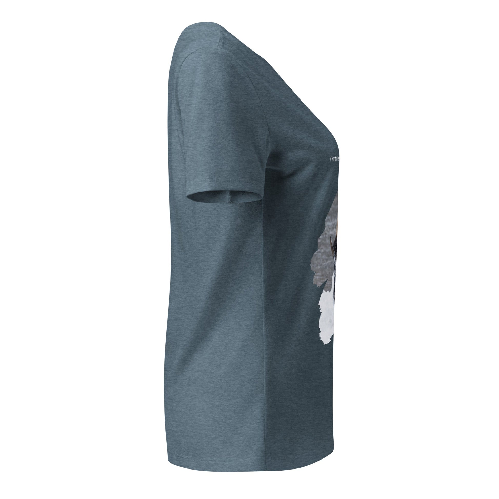 Park Snark™ "Icy Bisy" on a Women’s Relaxed V - neck T-shirt - Travel Fam Park Guides