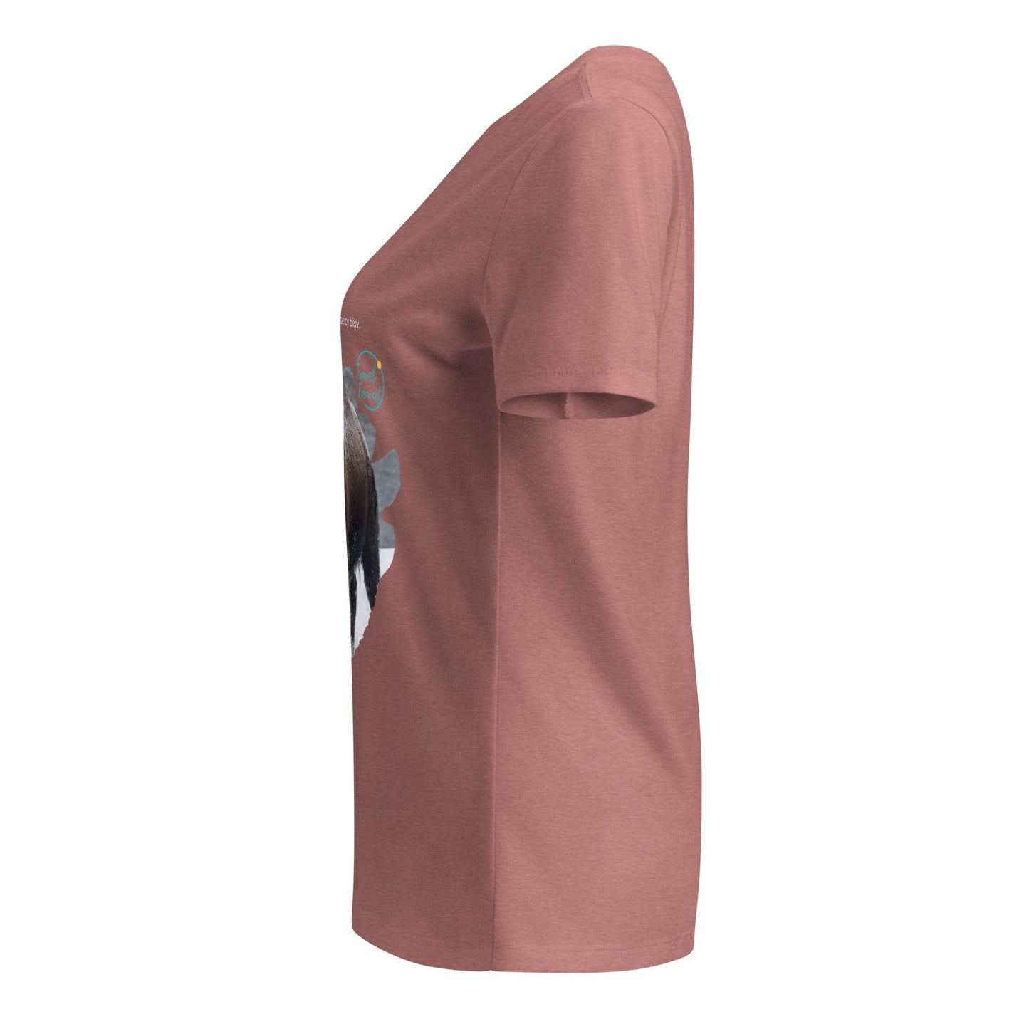 Park Snark™ "Icy Bisy" on a Women’s Relaxed V - neck T-shirt - Travel Fam Park Guides
